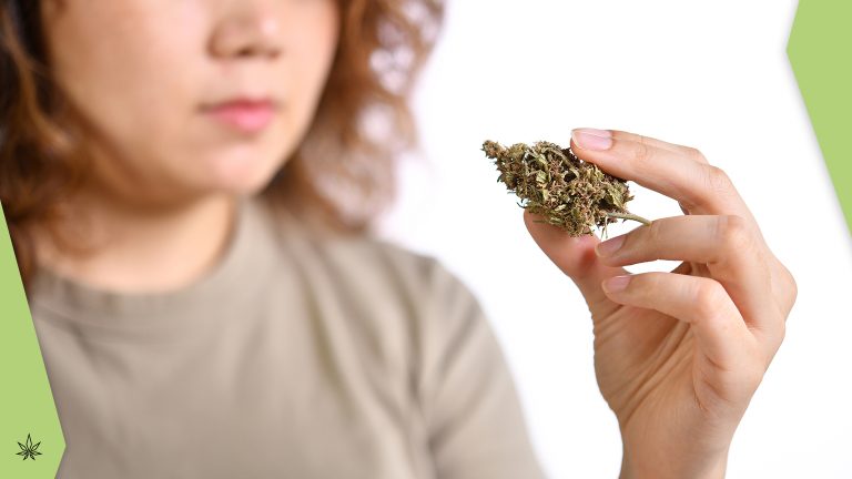 Was tun gegen Cannabissucht